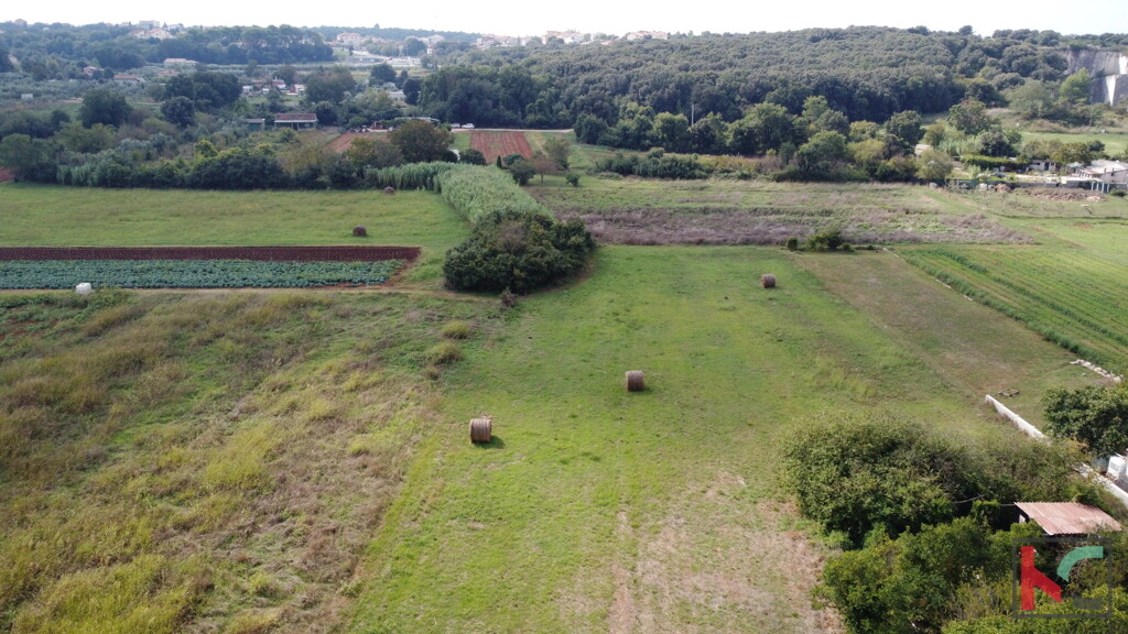 Image 6230647 - 1