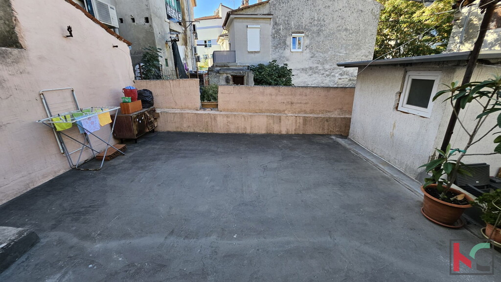 Image 6230649 - 4