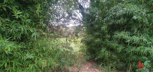Thumbnail 6230651 - 2