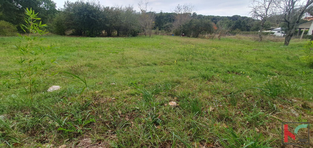 Image 6230651 - 3