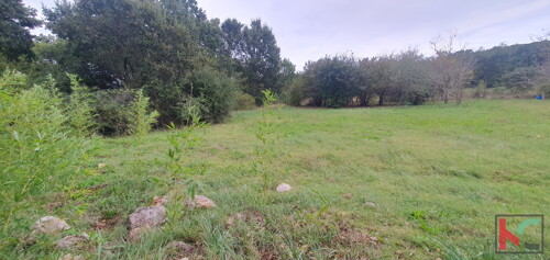 Thumbnail 6230651 - 6