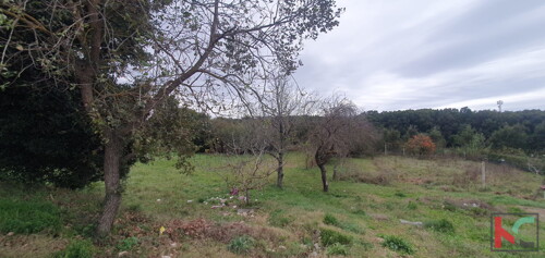 Thumbnail 6230651 - 1