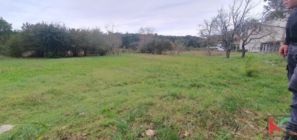 Image 6230651 - 5