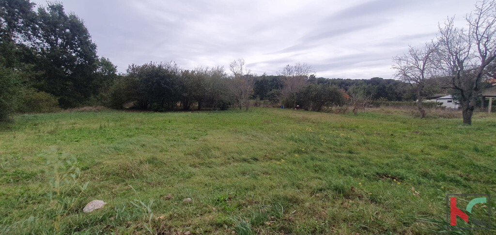 Image 6230651 - 8