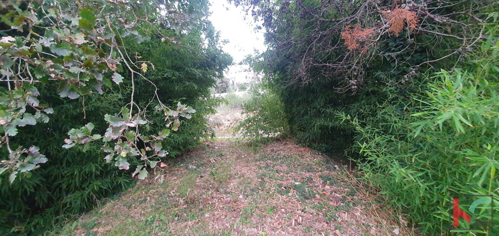 Image 6230651 - 4