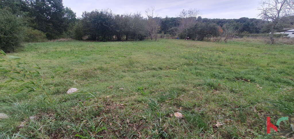 Image 6230651 - 7