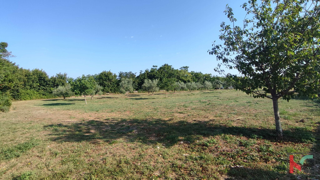 Image 6230656 - 2
