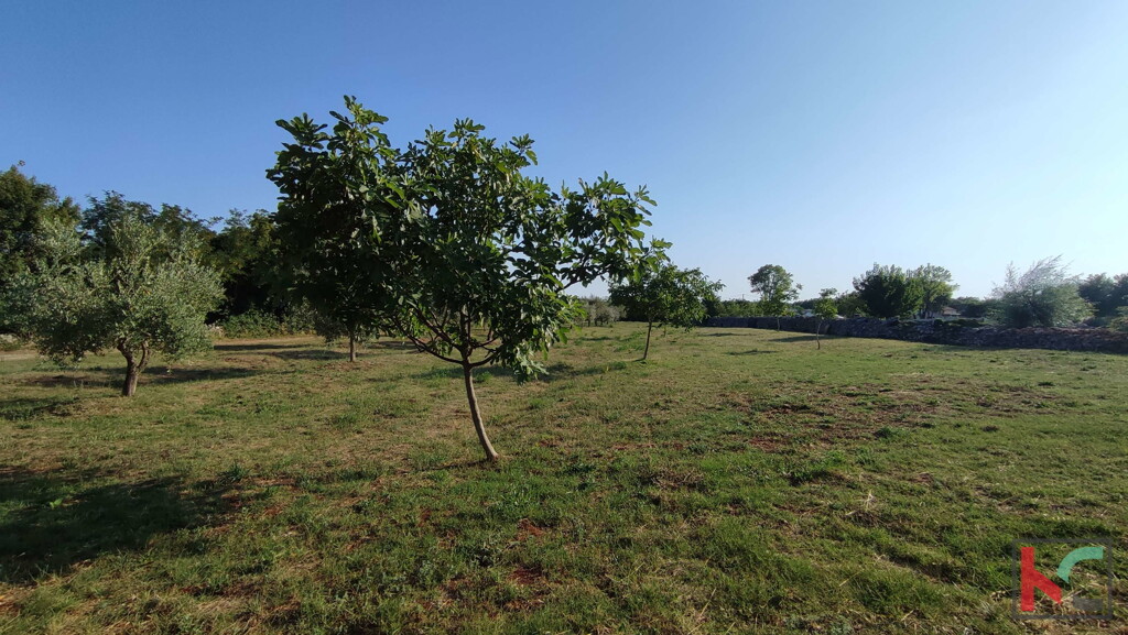 Image 6230656 - 4