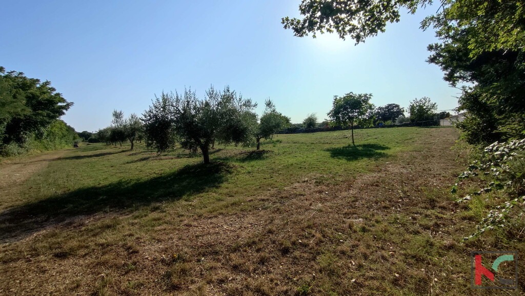 Image 6230656 - 3