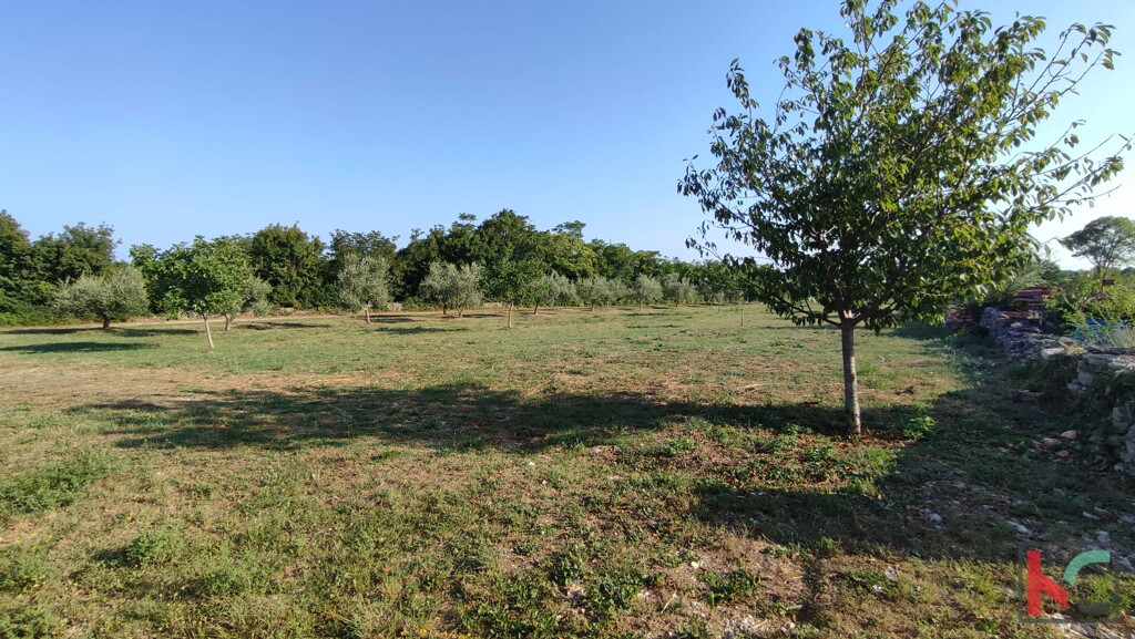 Image 6230656 - 5