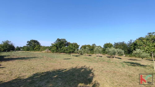 Thumbnail 6230656 - 6