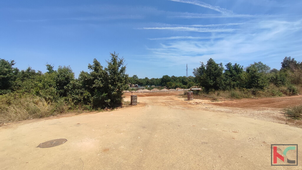 Image 6230657 - 5