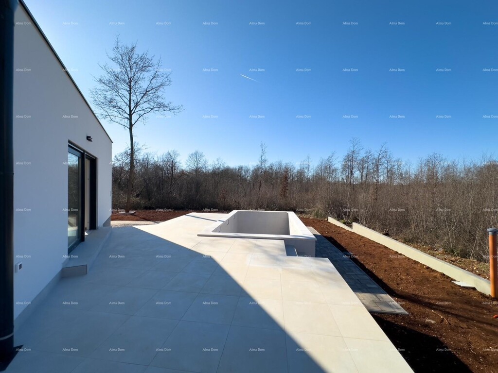 Image 6230664 - 17