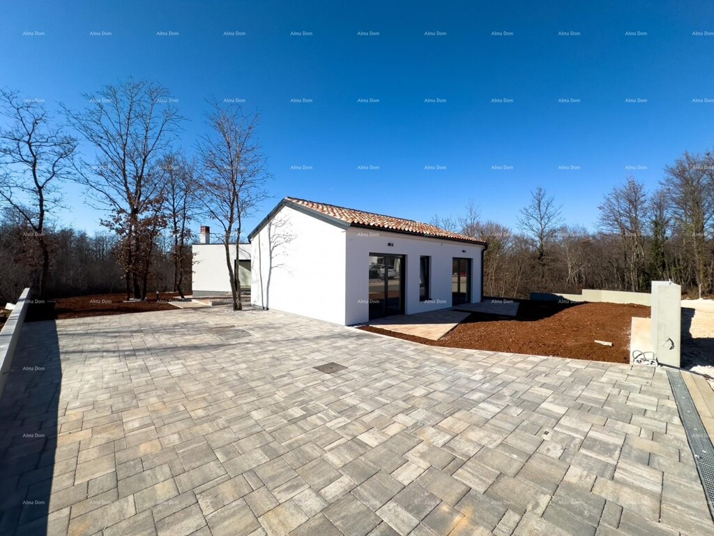 Image 6230664 - 3