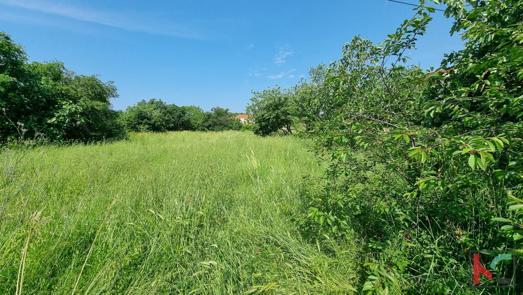 Image 6230667 - 4