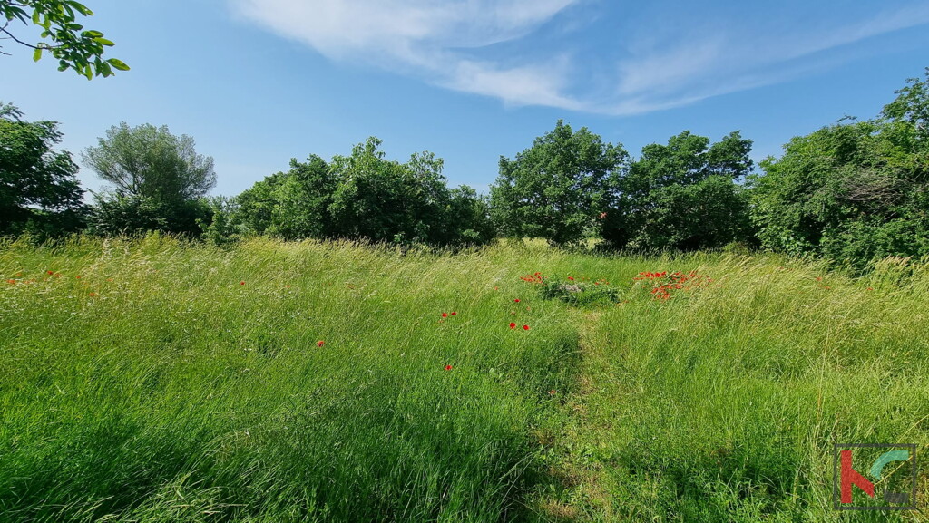 Image 6230667 - 1