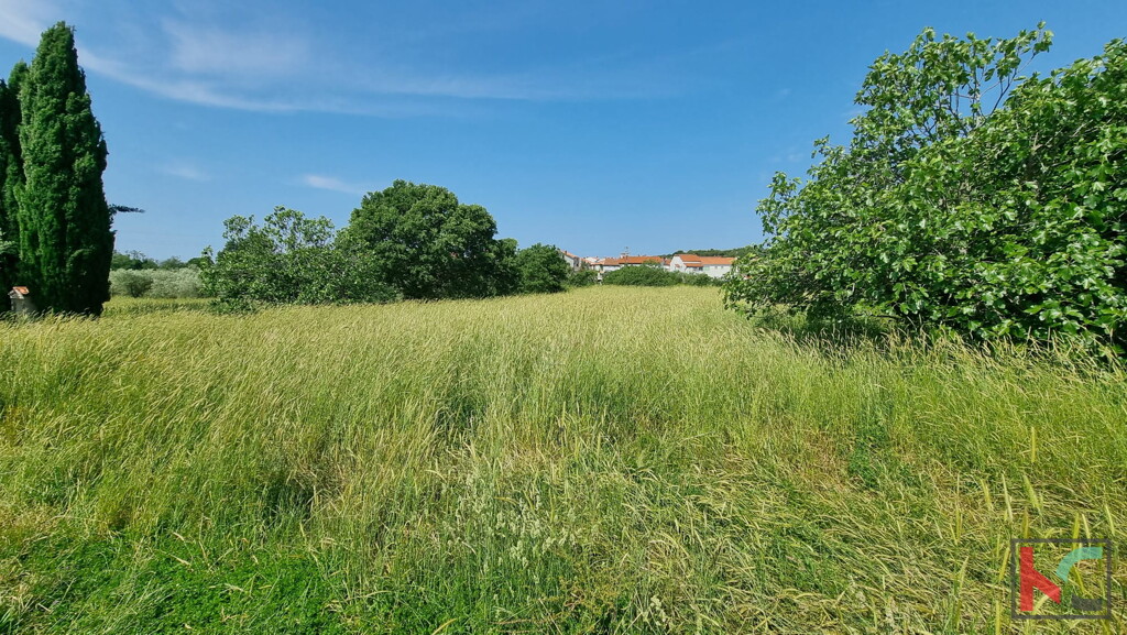 Image 6230667 - 2