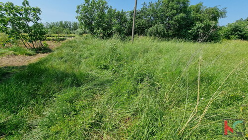 Thumbnail 6230667 - 5