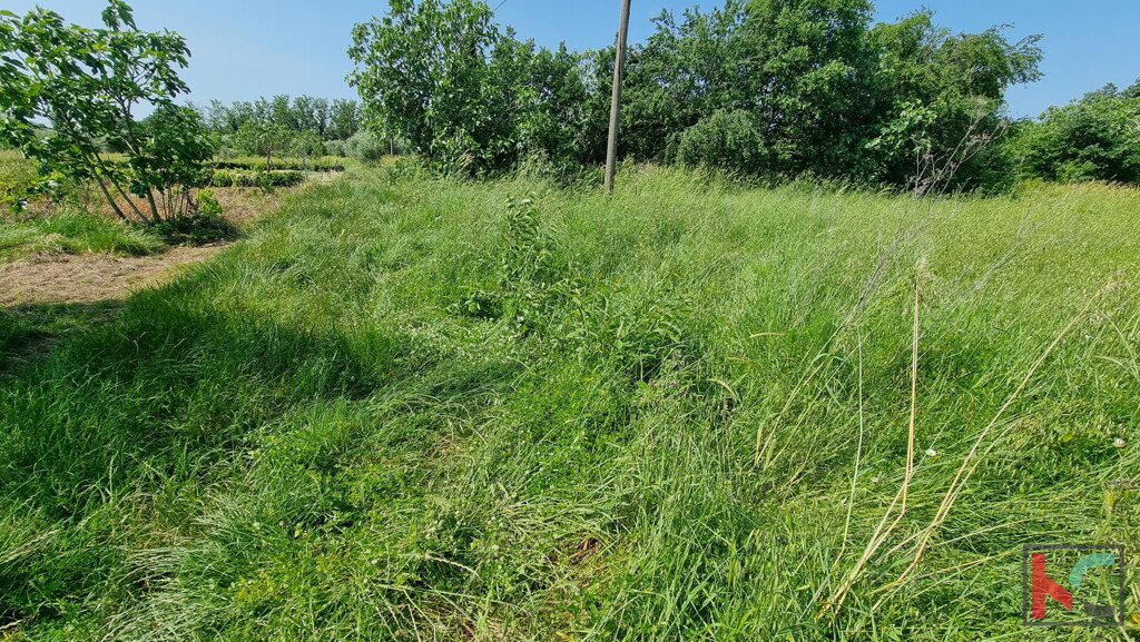Image 6230667 - 5