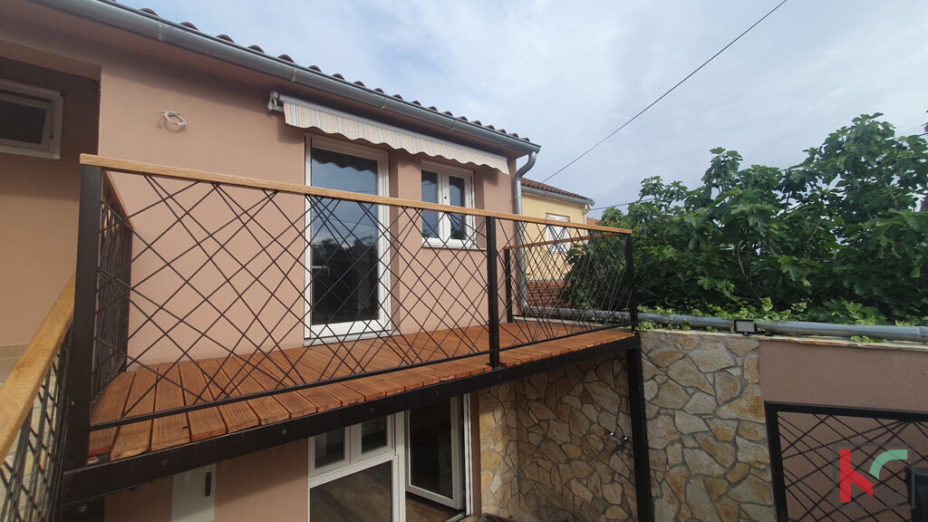 Image 6230668 - 1