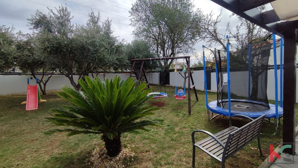 Image 6230671 - 7