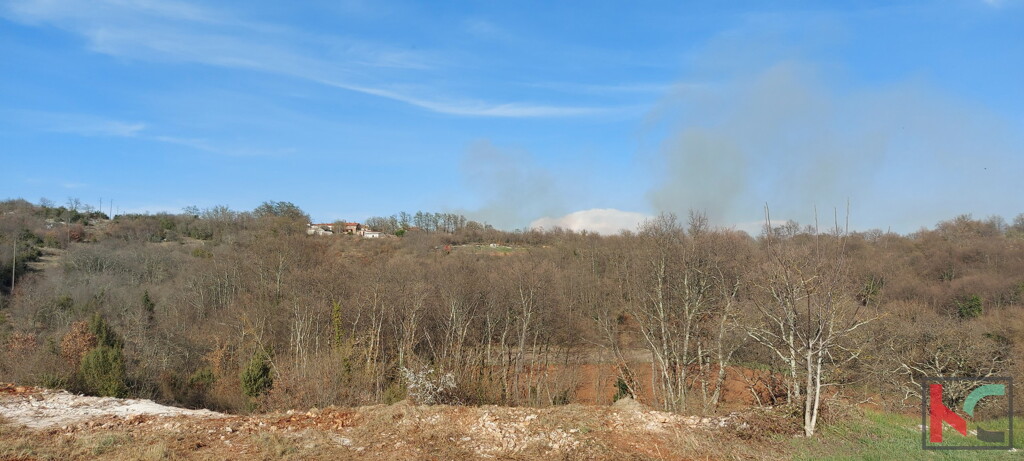 Image 6230678 - 3