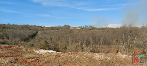 Thumbnail 6230678 - 4