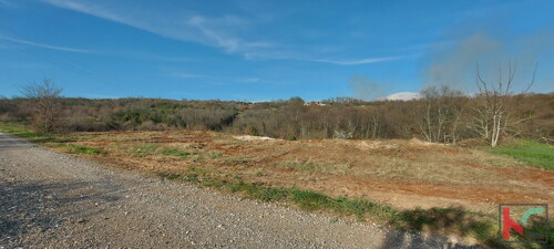 Thumbnail 6230678 - 2
