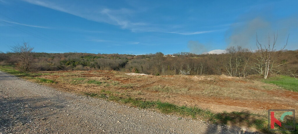 Image 6230678 - 2