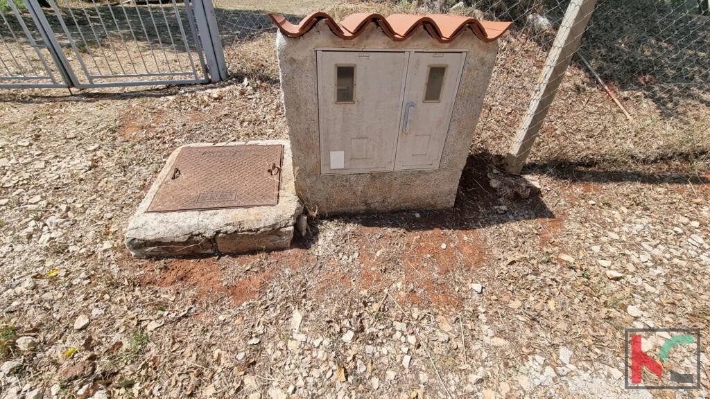 Image 6230682 - 4