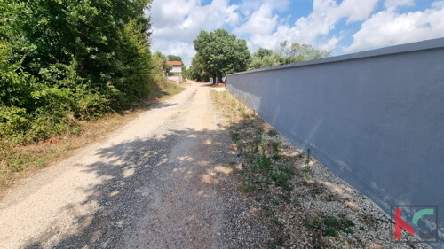 Thumbnail 6230682 - 7