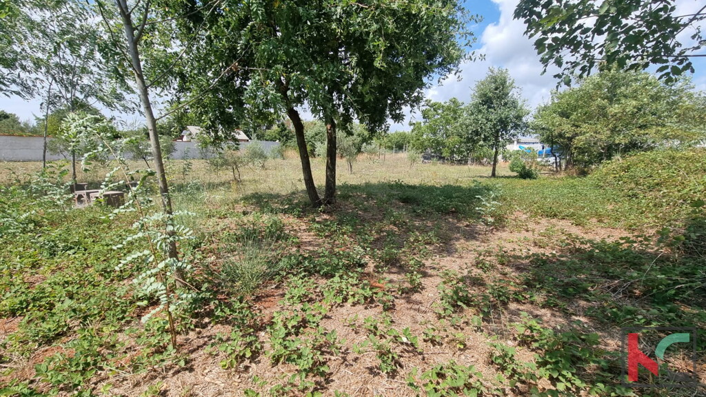 Image 6230682 - 5