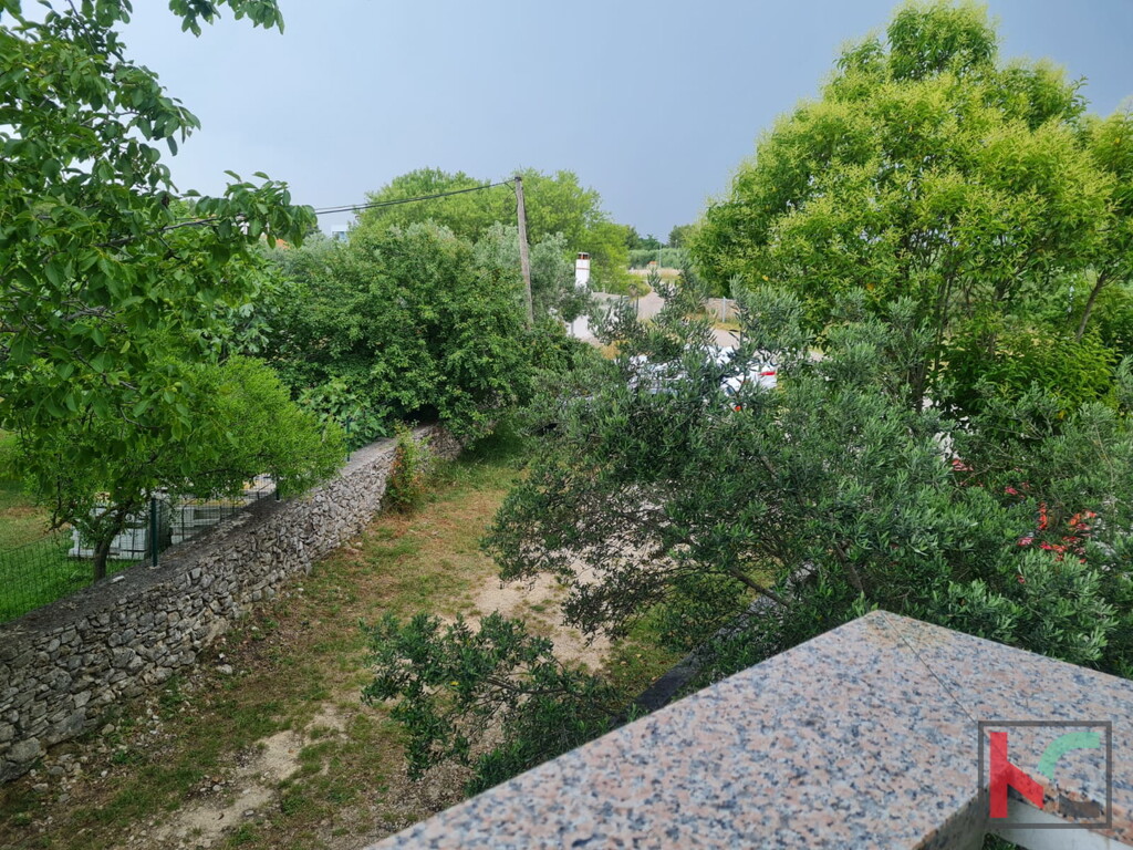 Image 6230684 - 9