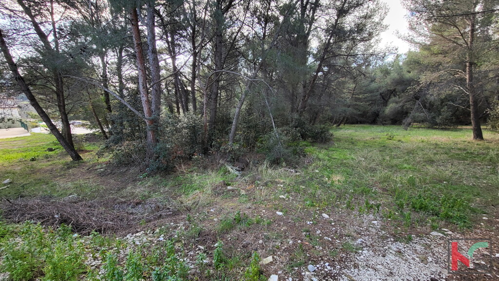 Image 6230687 - 3
