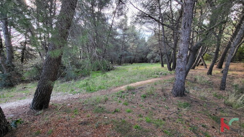Thumbnail 6230687 - 2