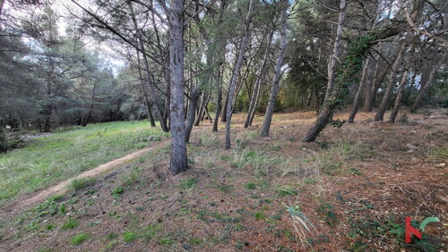 Thumbnail 6230687 - 1