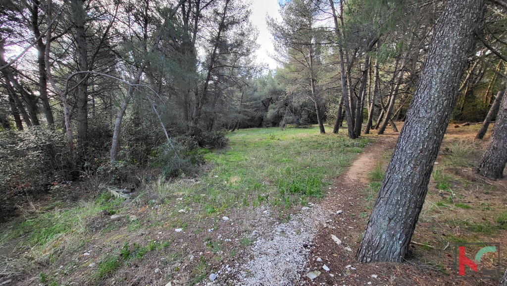 Image 6230687 - 4