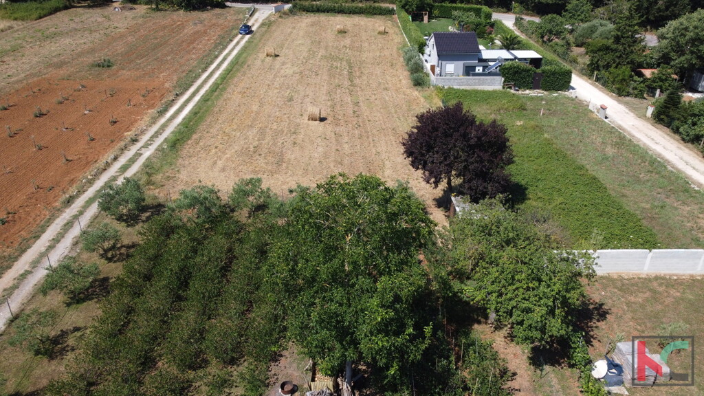 Image 6230709 - 4