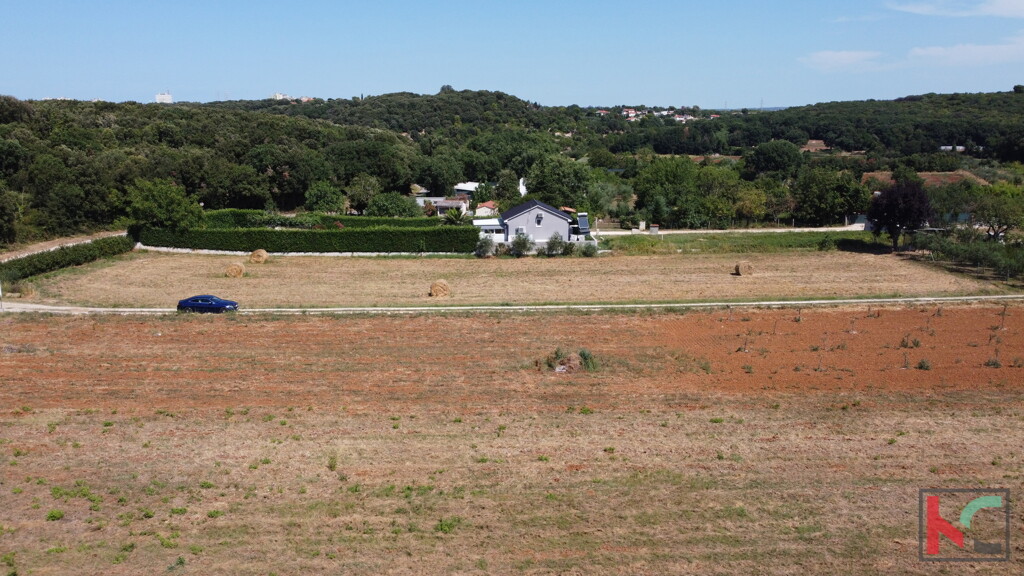 Image 6230709 - 5