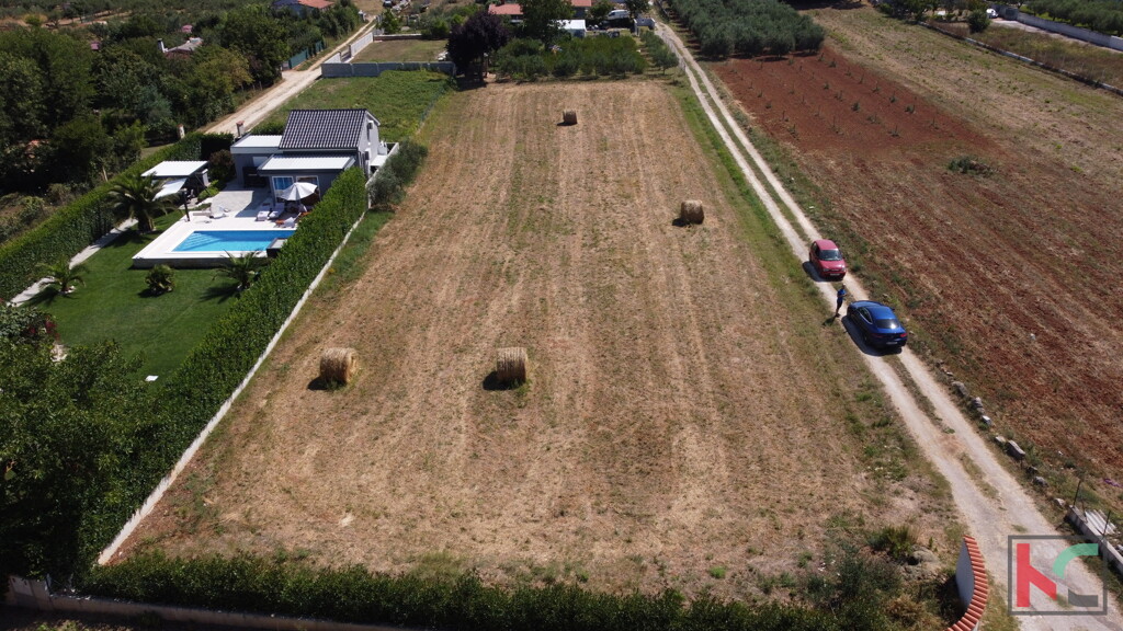 Image 6230709 - 6