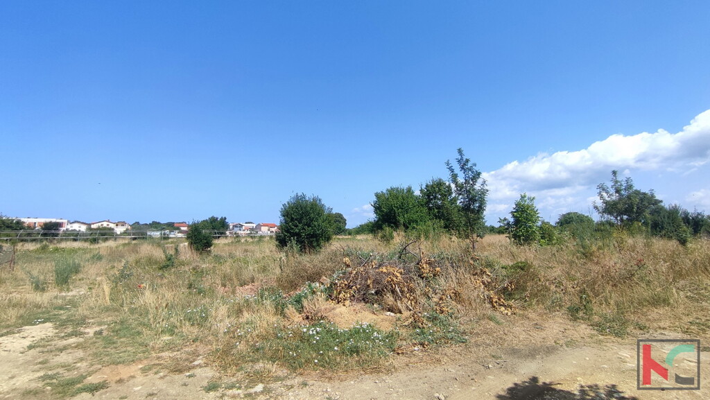 Image 6230710 - 3