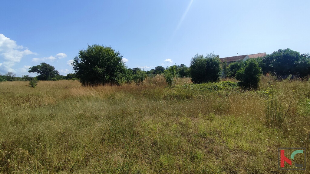 Image 6230710 - 4
