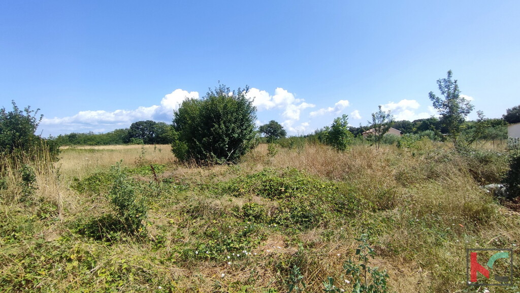 Image 6230710 - 1