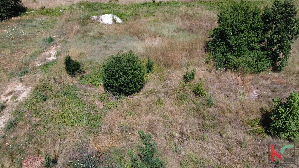 Image 6230710 - 6