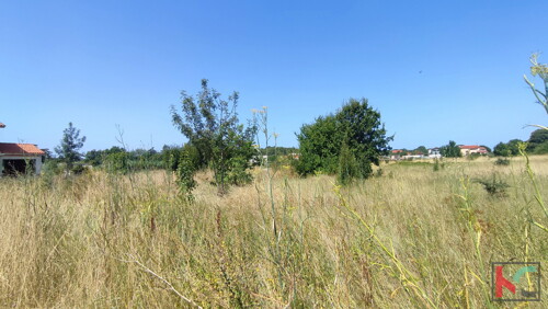 Thumbnail 6230710 - 2