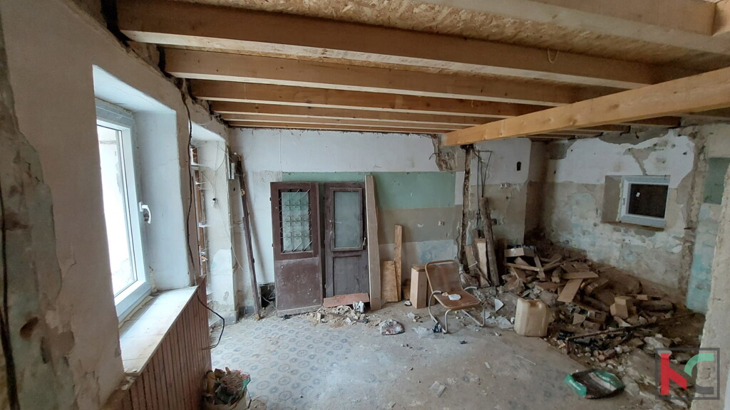 Image 6230720 - 9