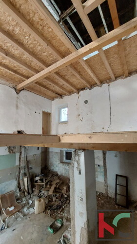 Thumbnail 6230720 - 4