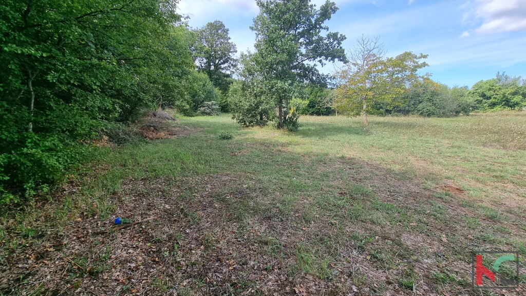Image 6230723 - 2