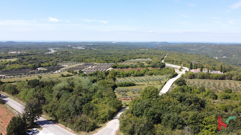 Image 6230724 - 5
