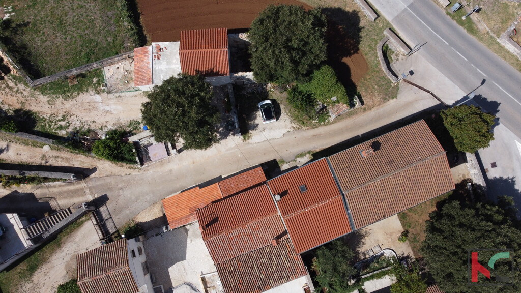 Image 6230724 - 6